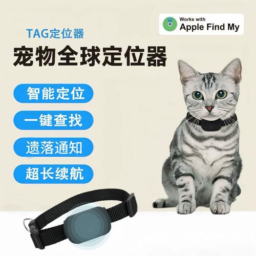 科技护宠 智能定位项圈，让爱宠不再走失