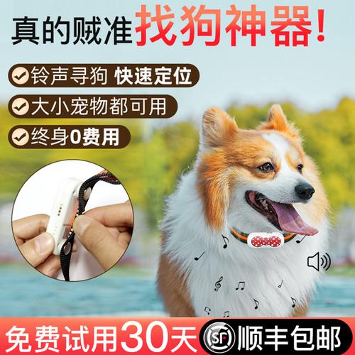 宠物定位器 守护爱宠的GPS追踪神器