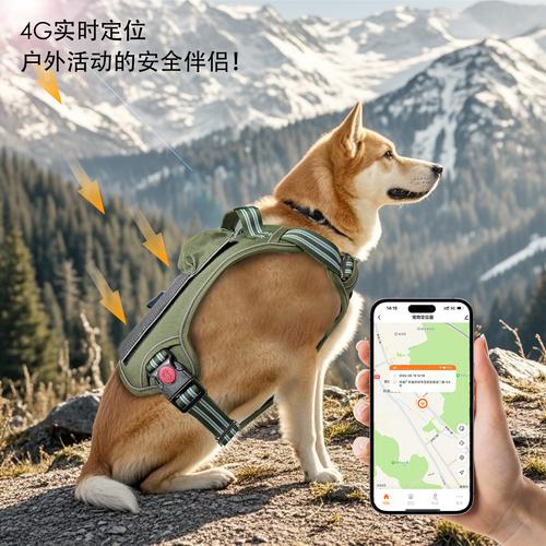 太阳能4G宠物定位器 防走丢+电子围栏，狗狗与畜牧养殖的智能守护者